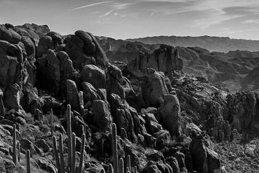 Uma viagem ao Arizona: trabalhos de Frank Lloyd Wright e Paolo Soleri